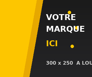 Pavé publicitaire 300 x 250 — à louer